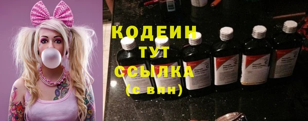 гашик Белокуриха