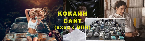 гашик Кулебаки