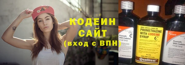 гашик Белокуриха
