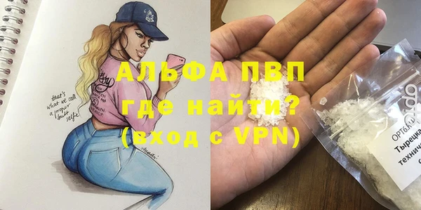 гашик Белокуриха
